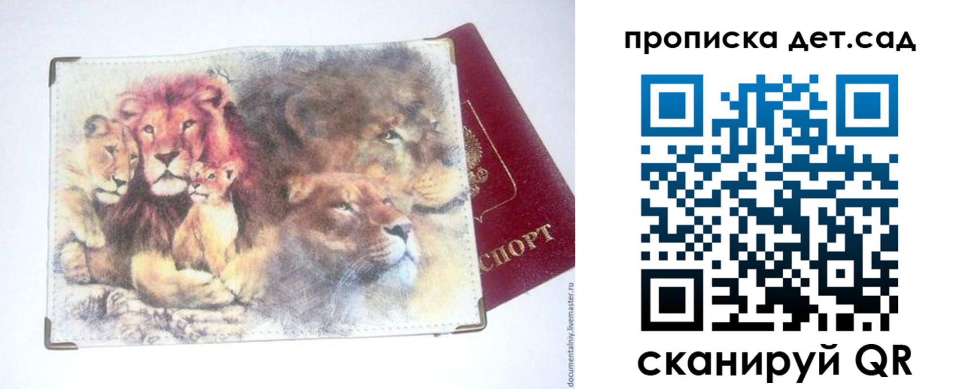 прописка регистрация в Скопине
